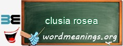 WordMeaning blackboard for clusia rosea